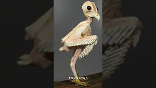 Have You Seen An Owl With No Feathers? Its So Cute Im Shook