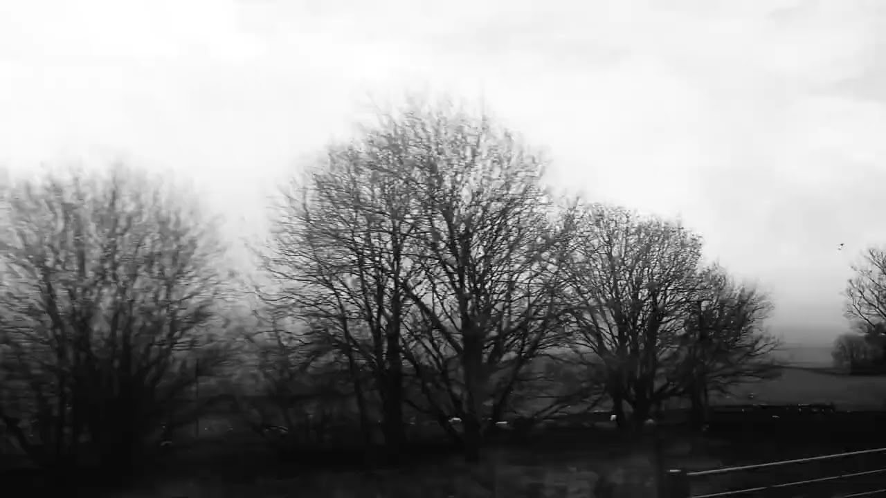 Bob Dylan—Desolation Row in Leeds—November 14, 2025. Footage from the train to Glasgow. nm recording