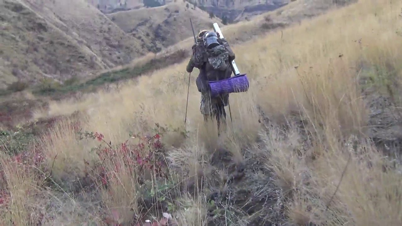Oregon Rifle Spike Elk Hunt 2016 YouTube