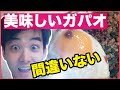 [ซับไทย]【タイ料理】タイ在住者がオススメするガパオライスはここだ【第二弾】〔#229〕ร้านกระเพรา ที่คนอยู่ในไทยแนะนำ ก็คือที่นี้แหละ!