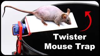 The Twister Mouse Trap - A totally new way of catching mice - Invented by a YouTube viewer. by Shawn Woods 24,736 views 1 month ago 4 minutes, 45 seconds