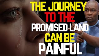 PAIN IN THE JOURNEY TO THE PROMISE LAND | APOSTLE JOSHUA SELMAN