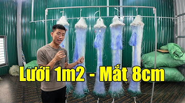 Lưới Đánh Cá Chép - Cá Phi | Cao 1m2 - Mắt 8cm - Dài 90m #450k || Zalo: 0396.23.9999
