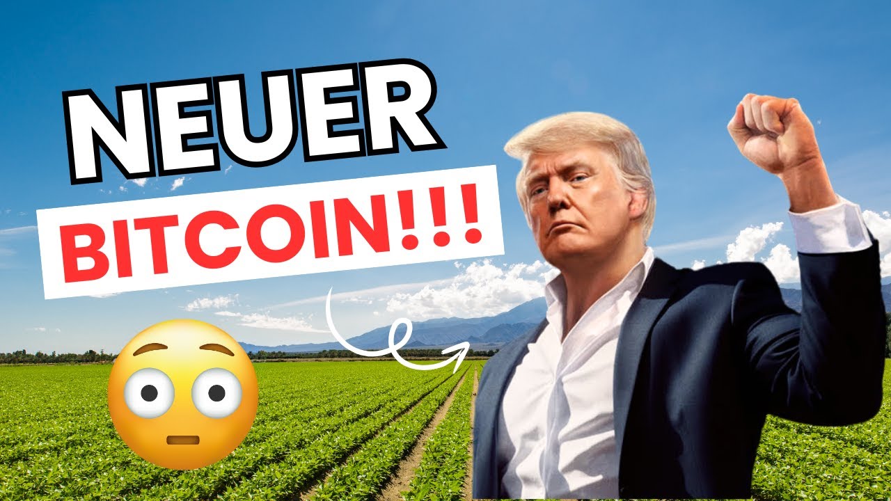 US-Schulden explodieren: Nicht Elon ist die Lösung, sondern Bitcoin -  Вusinessinsider