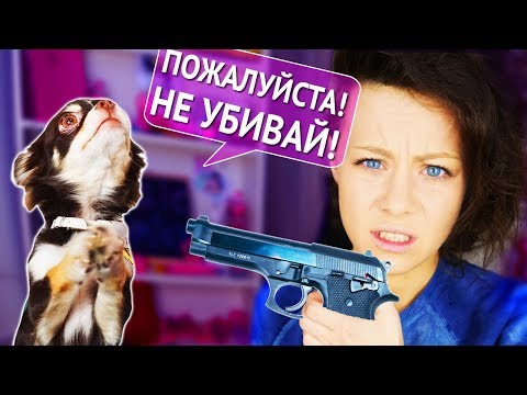 CОБАКИ и КОШКИ в ОПАСНОСТИ!