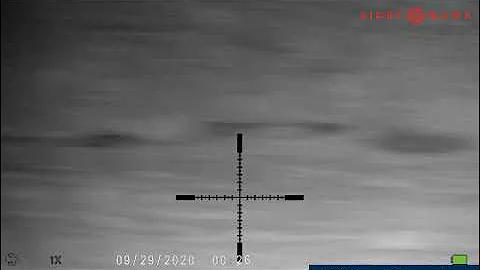 RABBITTING WITH THE CZ455 22LR WRAITH HD