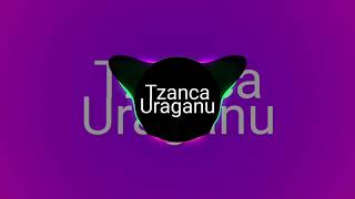 Tzanca Uraganu - Hai tigrata ( Speed up) ❤️