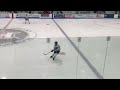 Pro hybrid vs Twig