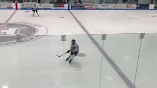 Pro hybrid vs Twig