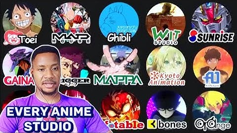 Mind Blowing!!! Every ANIME STUDIO Explained in 17 Minutes | Reaction