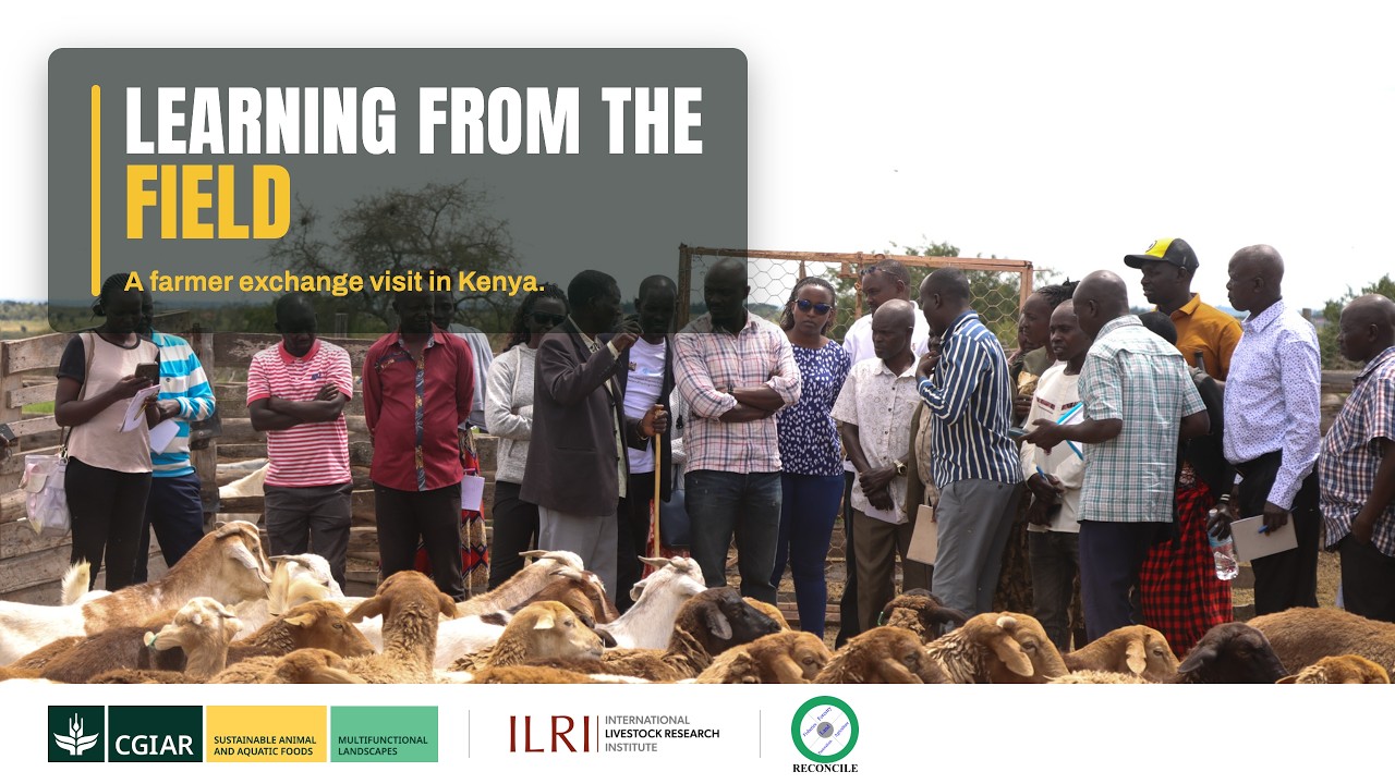 Thumbnail for Learning from the Field | A Farmer Exchange Visit in Kenya