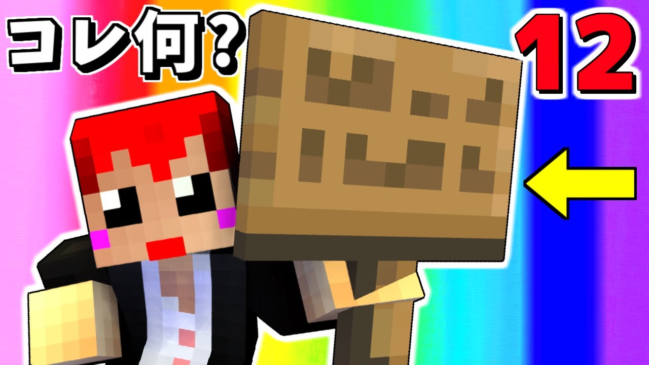 12 [Minecraft] I read 