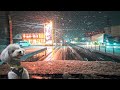 愛犬と古民家に向かっている途中で突然の猛吹雪に襲われました