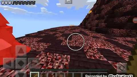 Pigraid kills part 1 to 2