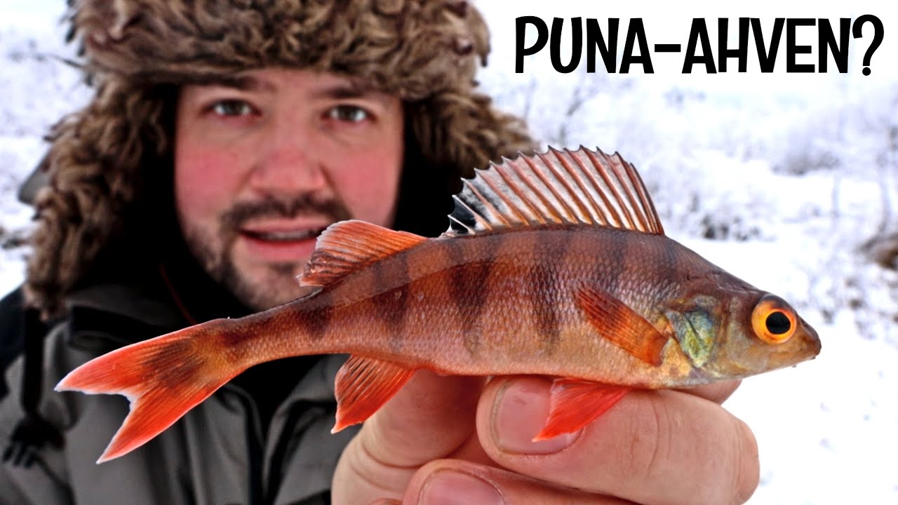 SUOMEN ERIKOISIN PILKKIPAIKKA JA ELÄMÄNI ERIKOISIN AHVEN