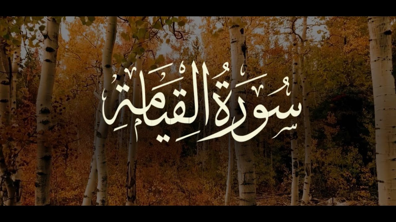 سوره قیامه استاد محمد تیم فروتن - تلاوت زیبای قرآن