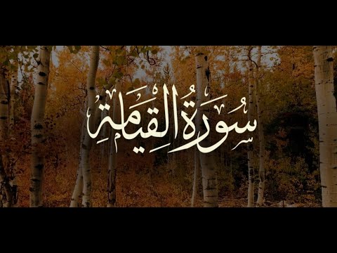 سوره قیامه استاد محمد تیم فروتن تلاوت زیبای قرآن