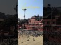 search of Happiness #awarapanstatus #awarapan2 #awarapan #emraanhashmi #explore #travel #birds #love