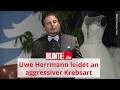 Schon zwei OPs hinter sich: VOX-Star Uwe Herrmann leidet an aggressiver Krebsart
