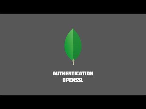 MongoDB Tutorials #2 - Setup Authentication & OpenSSL