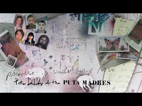 Peter Doherty  & The Puta Madres - Paradise Is Under Your Nose (Official Audio)