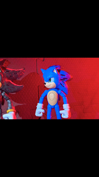Sonic and shadow stop motion