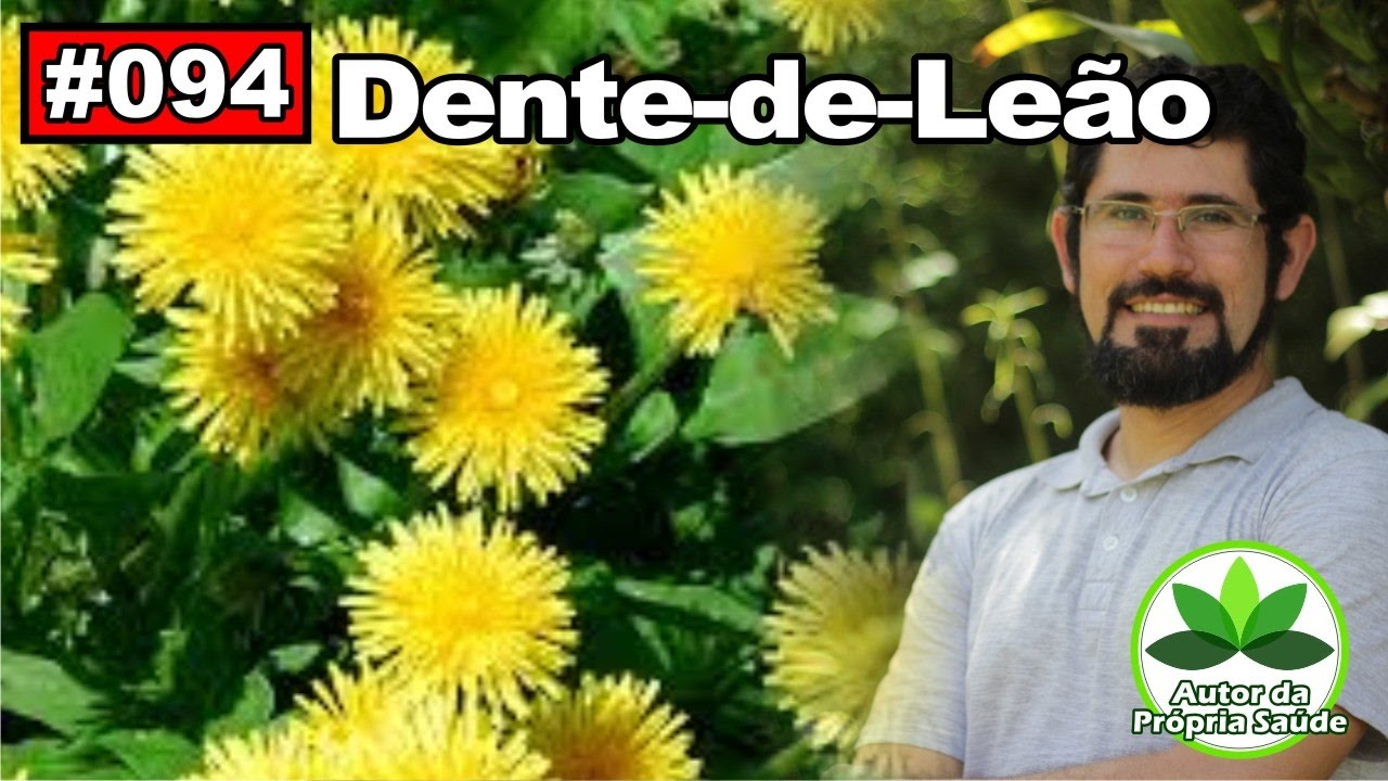 Autor da Própria Saúde – Dente de Leão [colesterol, gordura no fígado, diabetes, alergias] - YouTube