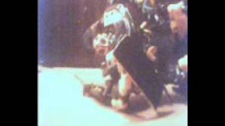 Bumblebee break dancing