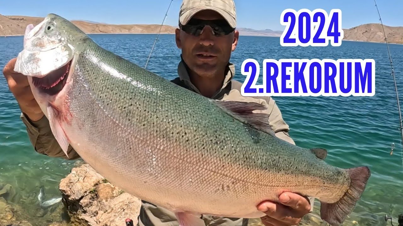 Ловля турецкого лосося, Ловля стальноголовой форели, Ловля радужной форели