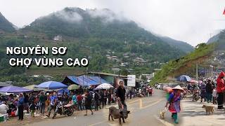 Download Lagu CHỢ TÂY BẮC NHỘN NHỊP CUỐI NĂM - CÁN CẤU | Ẩm Thực Núi Rừng - Văn Hóa Đặc Sắc ít Người Biết  MP3