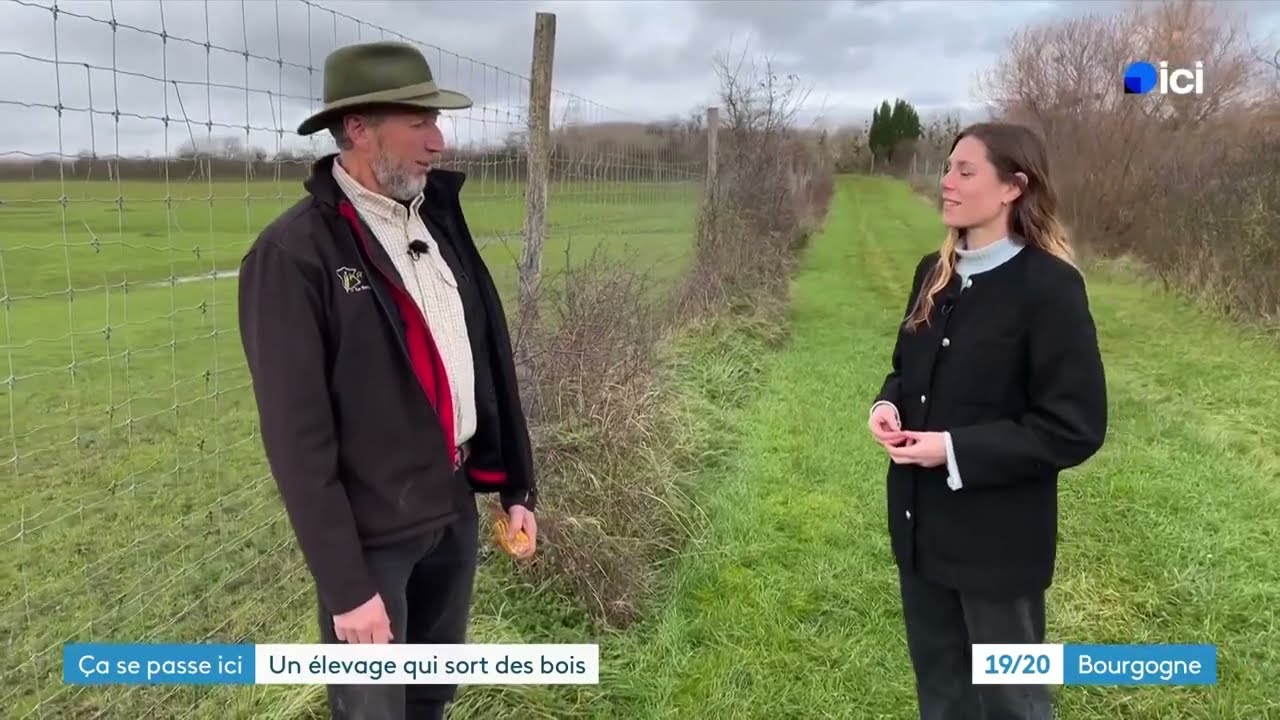 Ça se passe ici - à Saint-Florentin (Yonne) : Un élevage de cerfs unique dans le département