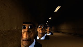 The Obunga are Everywhere - Garry's mod