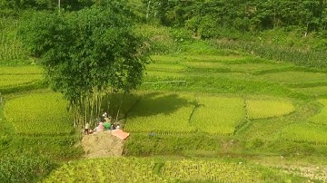 Nhịp sống vùng Cao xã vinh tiền Tân Sơn Phú Thọ 2023