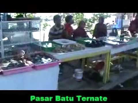 What Batu Bacan Asli Maluku