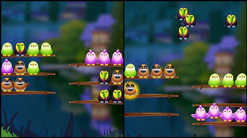Birds Color Sort Puzzle Walkthrough , ios Gameplay Simulator Think Brain Android Games