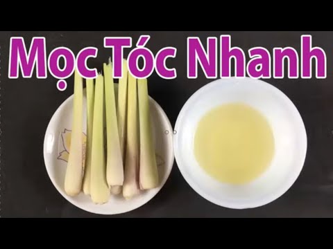 Cách ngăn rụng tóc và kích thích mọc tóc hiệu quả tại nhà [cách làm đẹp]