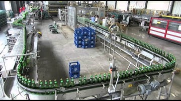F&P Beer Glass Bottle Conveyor by Icopag Packaging