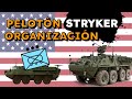 Pelotón Stryker: Organización y Equipamiento