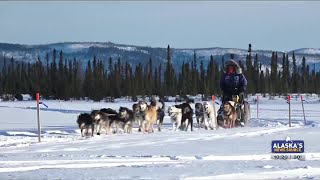 Iditarod favorites check in from Cripple