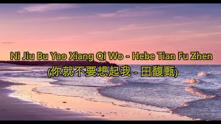Ni Jiu Bu Yao Xiang Qi Wo    U0026 Cover Hebe Tian Fu Zhen