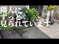 【恐怖】隙間より隣人がずっとこちらを見ています（ガチ）
