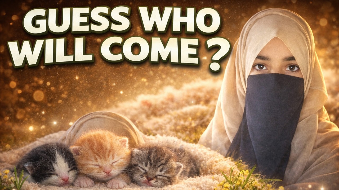 Guess Who Will Come? 😍 | My Cat Gave Birth to Cute 1 Day Old Kittens