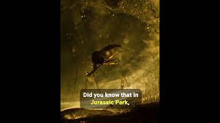 Did You Know That in Jurassic Park...
