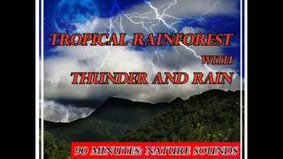 Sounds of a rain forest