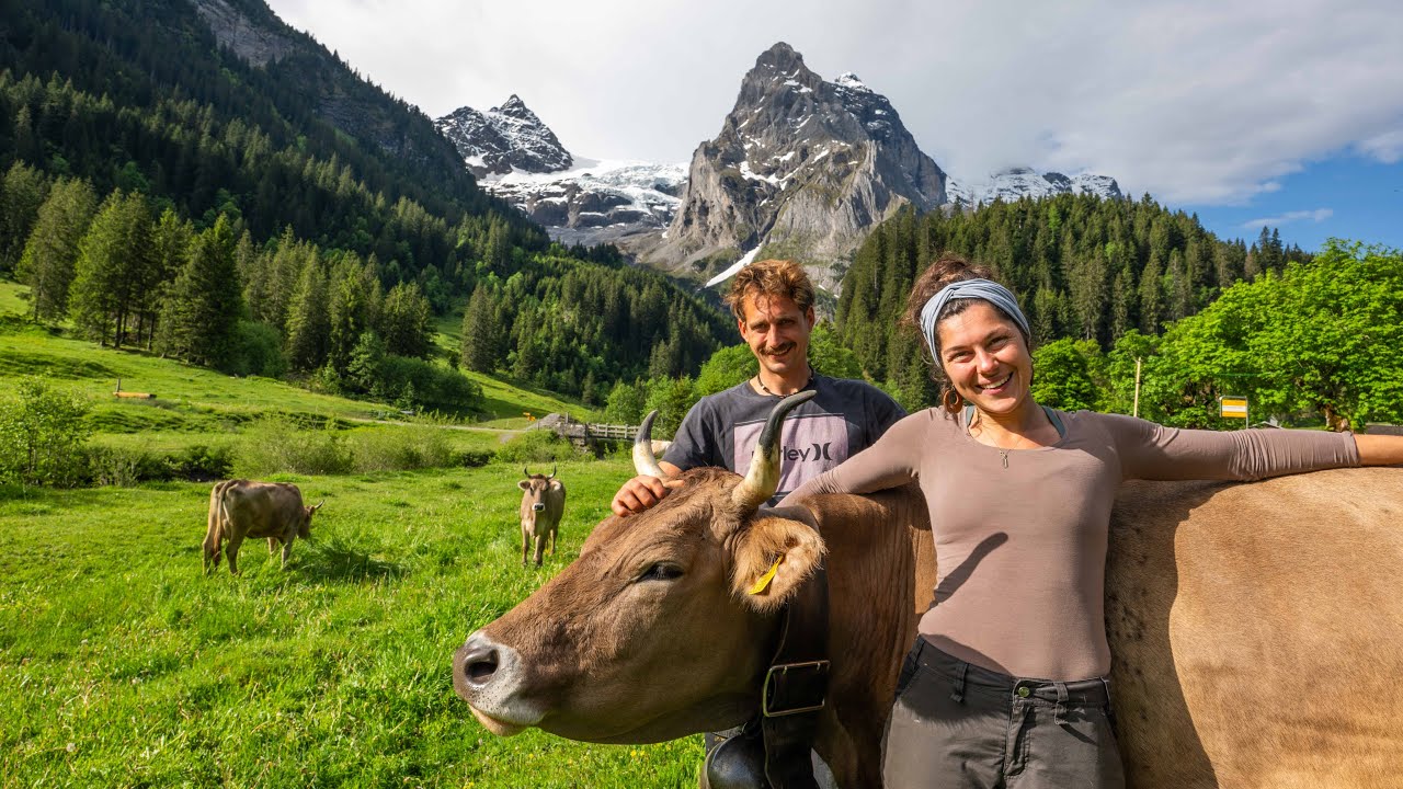 Z'Alp Alpine Season Switzerland Gschwandtenmad Jungfrau Region 4K