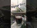 Kopi Senja Robusta Kopi Murni Tanpa Campuran #pecintakopi #kopisehat #kopi #kopiindonesia