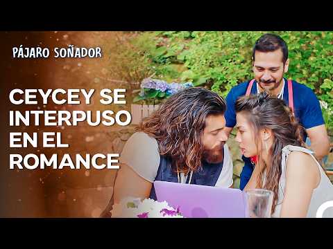 La Historia Del Albatros #27 - Pájaro Soñador