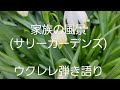 家族の風景 (サリーガーデンズ) ウクレレ弾き語り