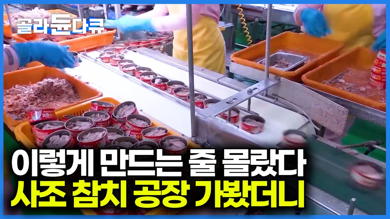 한국이 제일 잘 만든다는 참치 통조림. 어떻게 만들고 있는지 공장을 직접 찾아가봤더니｜극한직업｜#골라듄다큐