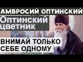 Внимай только себе одному! Остальных предоставь Промыслу. Амвросий Оптинский